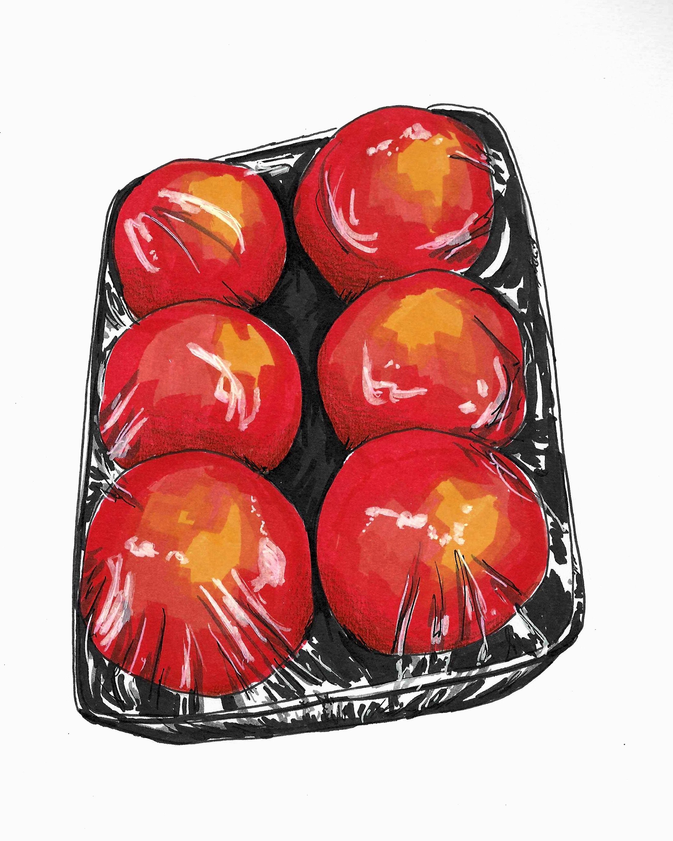 Ilustración de seis tomates rojos pintados a mano